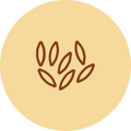 Cumin
